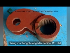 Schwing SLEWING LEVER используется для бетонного насоса 10018071